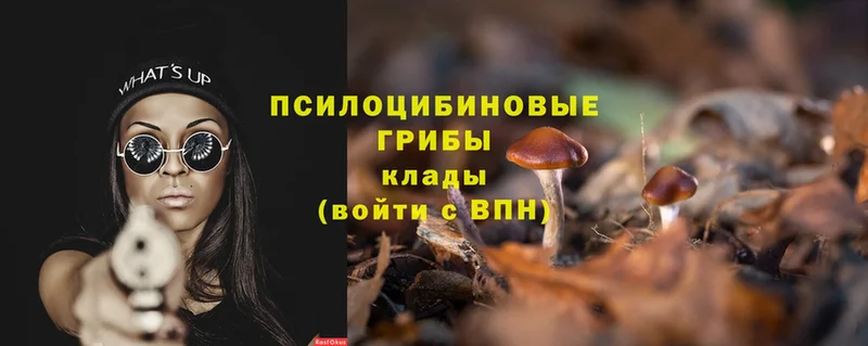 Псилоцибиновые грибы MAGIC MUSHROOMS  Поронайск 